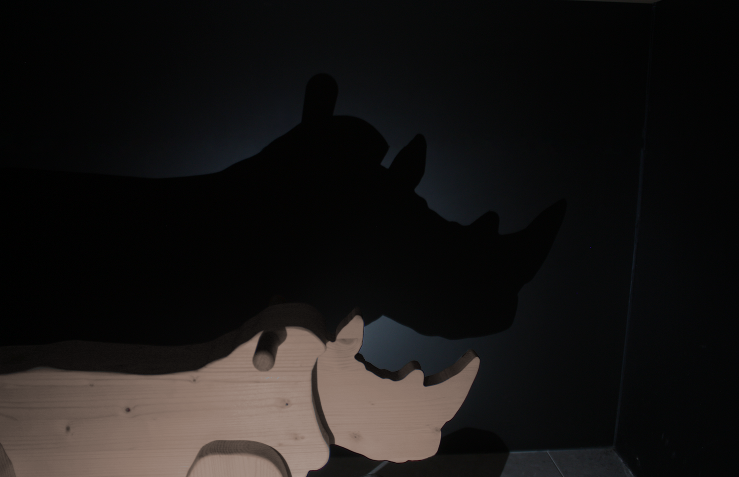 Rhinoceros